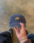 Revnhaus Camel Embroidere Hat (Select Colorway)