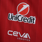 Revnhaus rarri Formula 1 Team Polo shirt