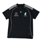Revnhaus Mercedes petronas Team Jersey and T-Shirt