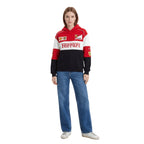 Revnhaus Rarri Racing Hoodie (multi-color)