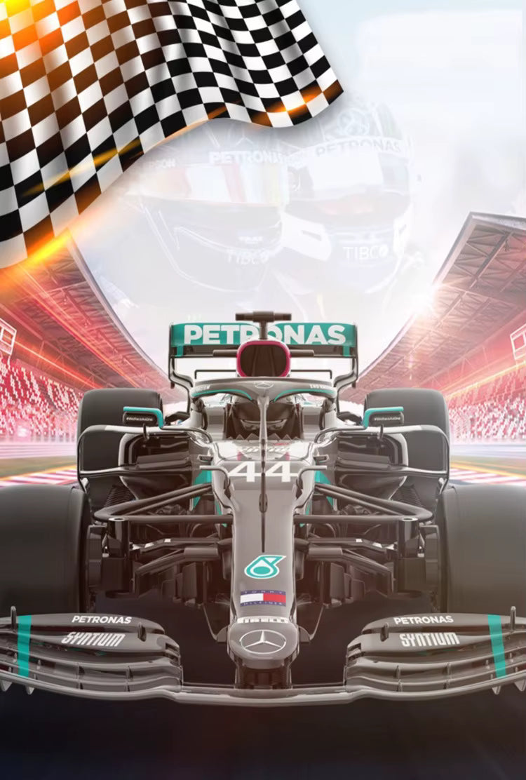 Revnhaus 1/12 Mercedes Benz F1 RC race car